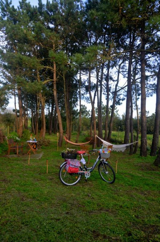Happy Cat House - Holiday Rental São Martinho do Porto Dış mekan fotoğraf