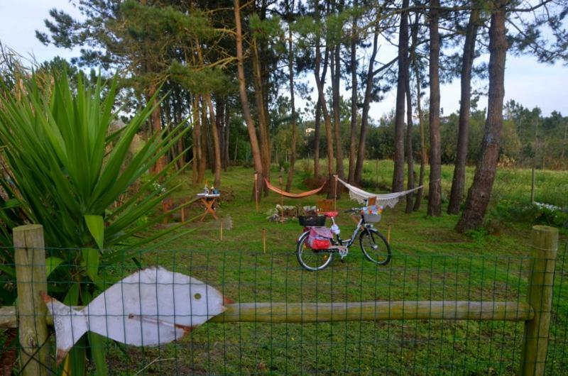 Happy Cat House - Holiday Rental São Martinho do Porto Dış mekan fotoğraf