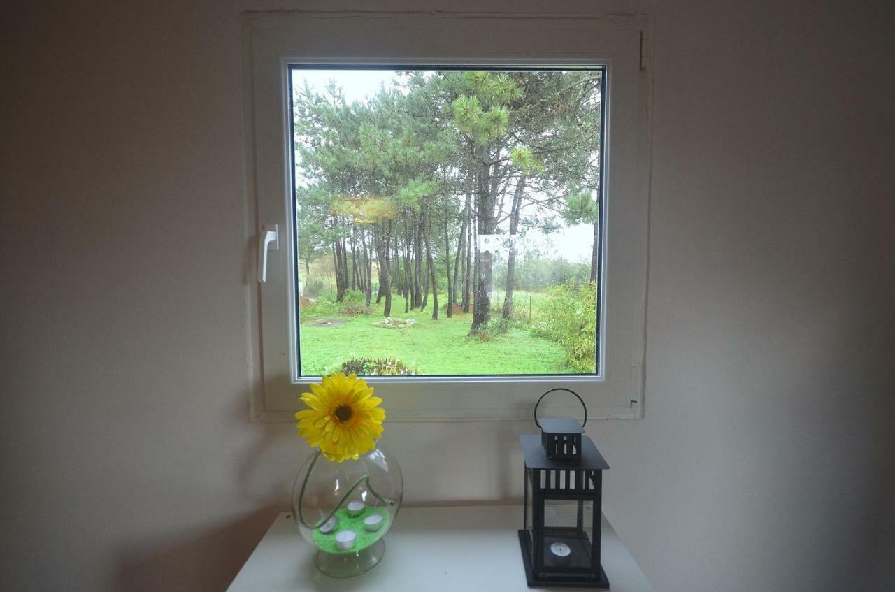 Happy Cat House - Holiday Rental São Martinho do Porto Dış mekan fotoğraf